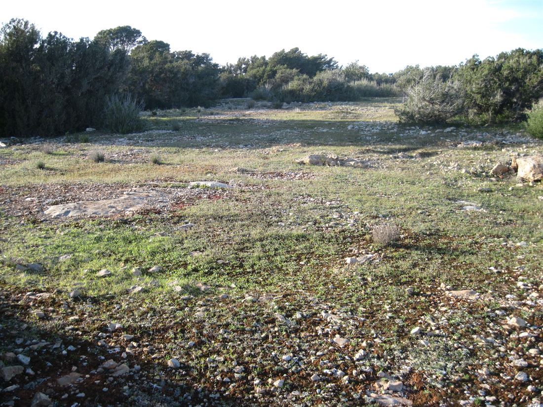 Terreno con progetto di base approvato per una casa unifamiliare con piscina a Cap de Barbaria Formentera