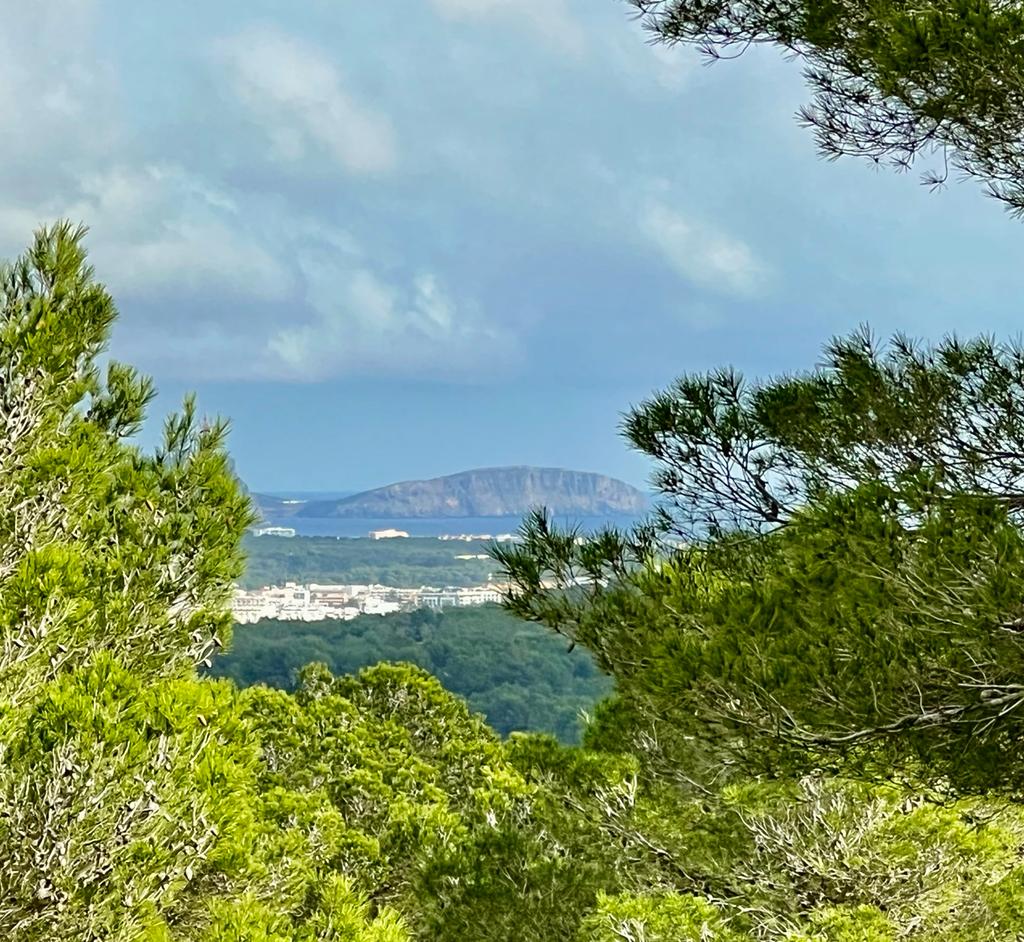 Villa moderna con vista sul verde in un ambiente idilliaco di assoluta privacy vicino a Ibiza